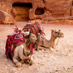 Visa to Jordan