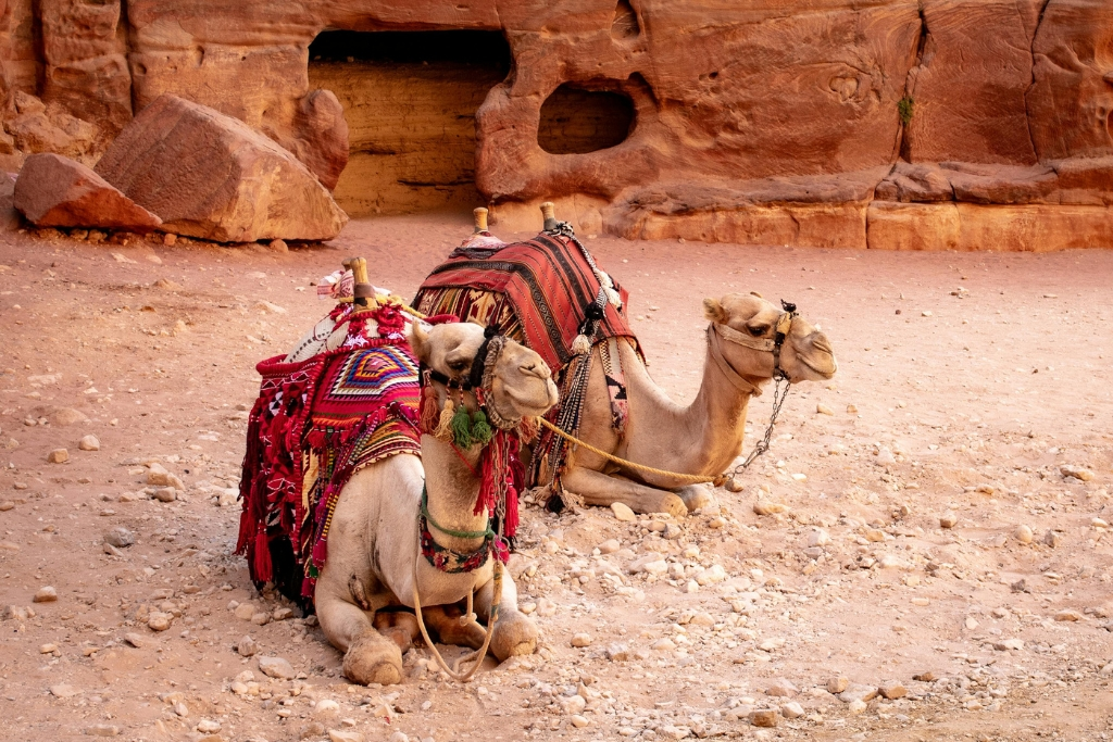 Visa to Jordan